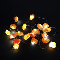 luces de encanto encendidas